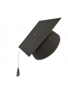 Birrete de graduación niño 2