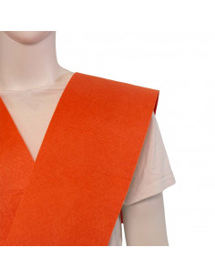 Banda o beca de graduación... 2