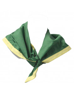 Pañuelo Scout nacional 2