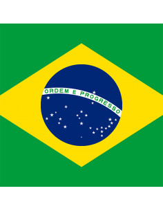 Bandera Brasil con anillas... 2