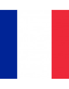 Bandera Francia con anillas... 2