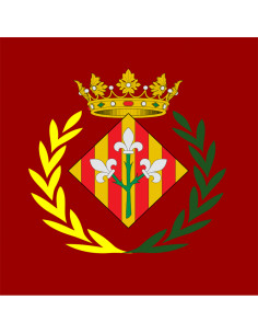 Bandera Lérida con anillas... 2