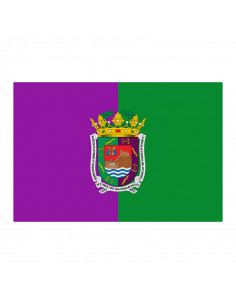 Bandera Málaga con anilla y...