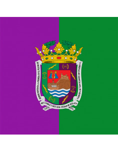 Bandera Málaga con anilla y... 2