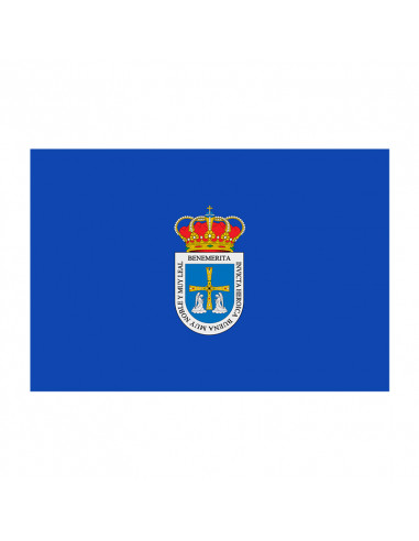 Bandera Oviedo con anillas y refuerzo
