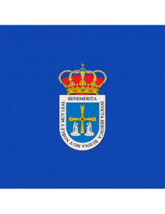 Bandera Oviedo con anillas... 2