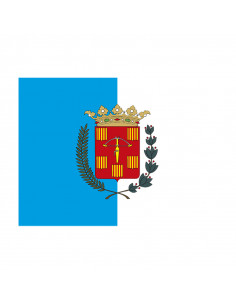 Bandera Sariñena con...