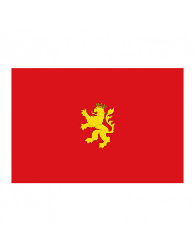 Bandera Zaragoza con anilla y refuerzo