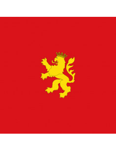 Bandera Zaragoza con anilla... 2